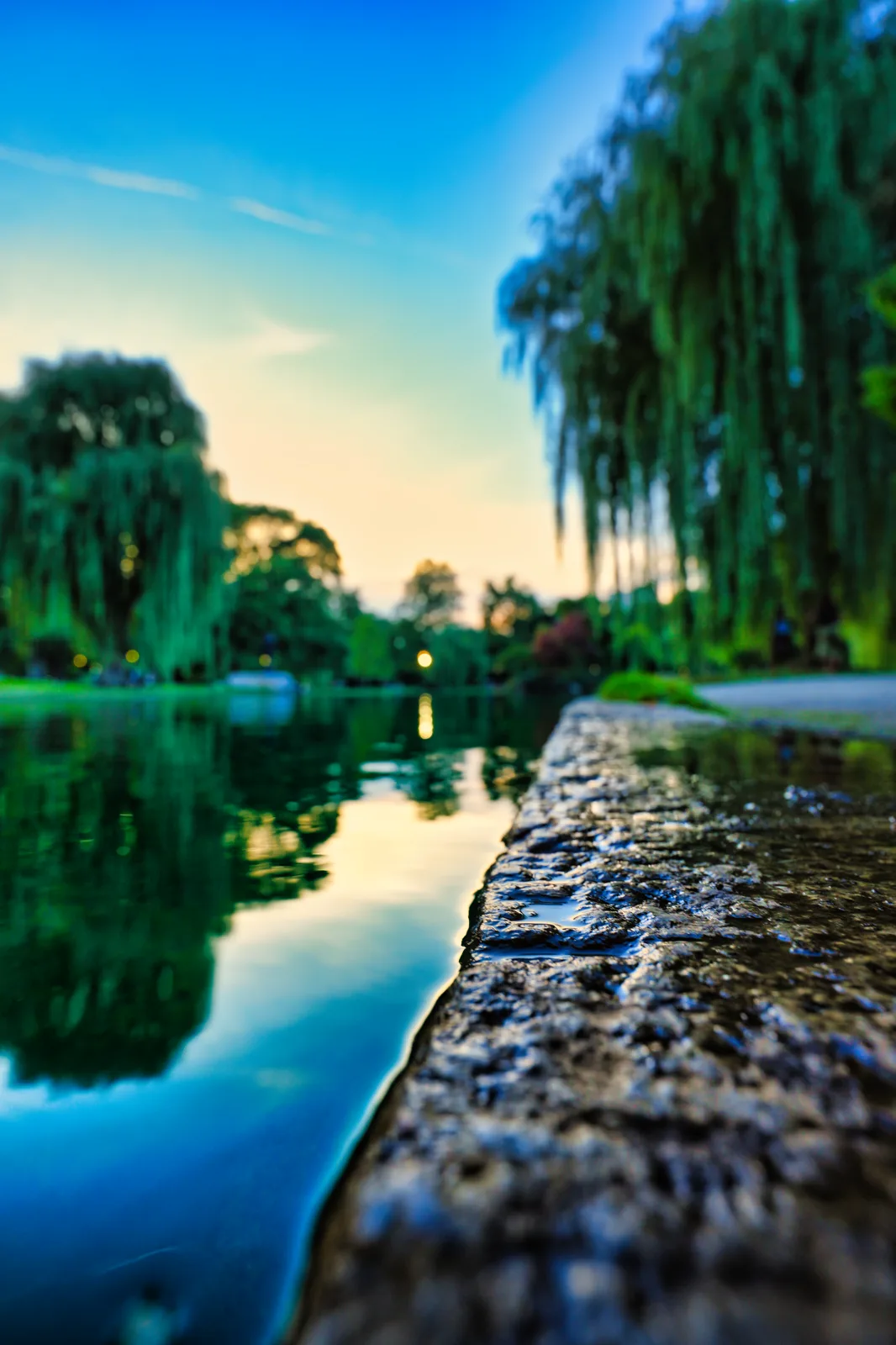 Public Garden Lagoon — BOSTON photography by Greg Pagliarulo